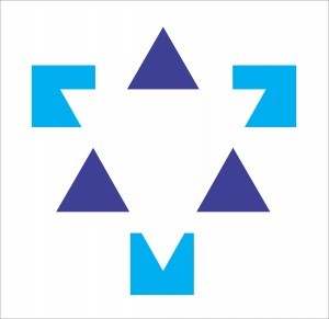 Optical Illusion Test