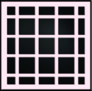 Hermann Grid